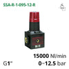Фото Регулятор давления воздуха 1/4", 1/2", 1", 0~12 бар, до 15000 л/мин (AIRCOMP SSA-R)